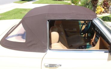 Mercedes-benz-450sl-1980-Manila-Beige-Palomino-MB-Tex-2