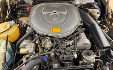 Mercedes-benz-Other-1985-Champagne-Metallic-Tan-11