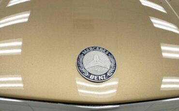 Mercedes-benz-Other-1985-Champagne-Metallic-Tan-26