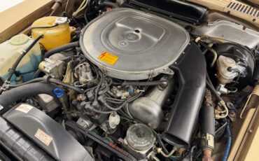 Mercedes-benz-Other-1985-Champagne-Metallic-Tan-46
