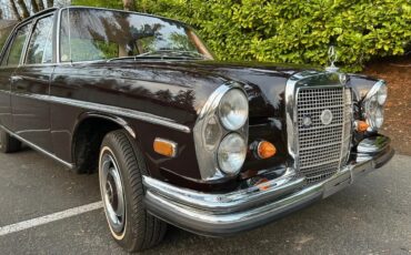 Mercedes-benz-Se-1967-Dark-Maroon-Light-Natural-Mb-Tex-16