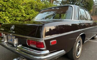 Mercedes-benz-Se-1967-Dark-Maroon-Light-Natural-Mb-Tex-5