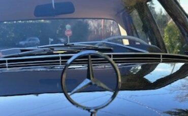 Mercedes-benz-Se-1967-Dark-Maroon-Light-Natural-Mb-Tex-6