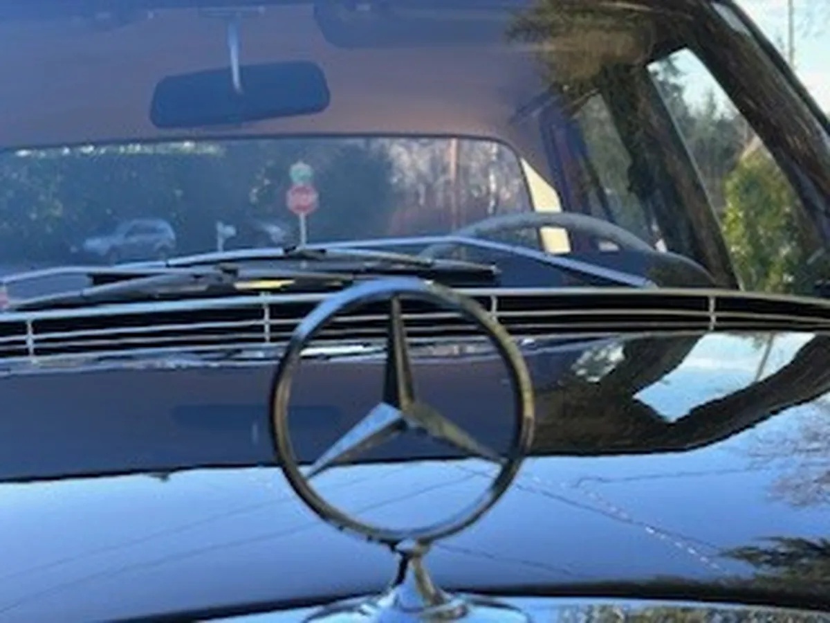 Mercedes-benz-Se-1967-Dark-Maroon-Light-Natural-Mb-Tex-6