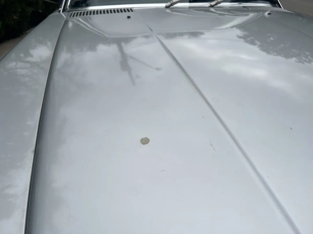 Mercedes-benz-Slc-1978-Silver-Blue-15