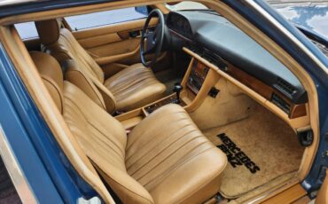 Mercedes-benz-s-class-diesel-1981-blue-2