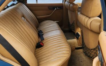 Mercedes-benz-s-class-diesel-1981-blue