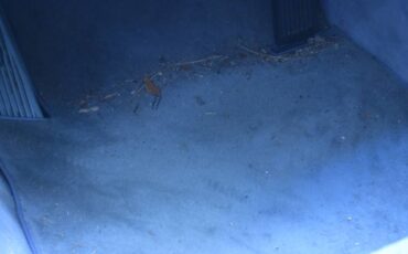 Mercedes-benz-s-class-sec560-1990-grey-4