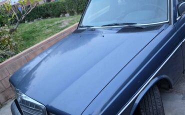 Mercedes-w123-300d-turbo-diesel-1984-blue-1