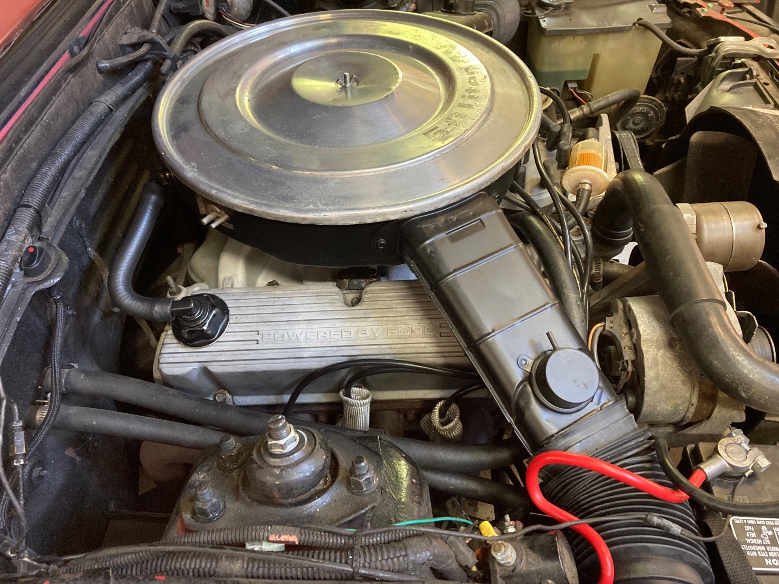 Mercury-Capri-1982-Hatchback-16