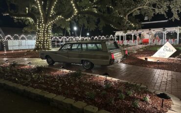 Mercury-Colony-Park-1966-Wagon-7