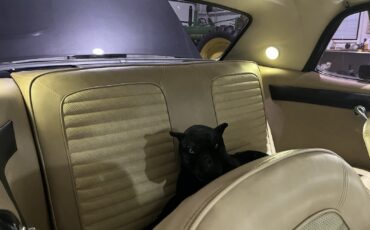 Mercury-Cougar-1967-Coupe-20