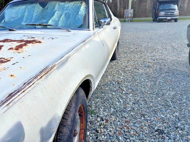 Mercury-Cougar-1968-Coupe-13