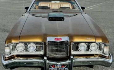 Mercury-Cougar-1973-Convertible-7