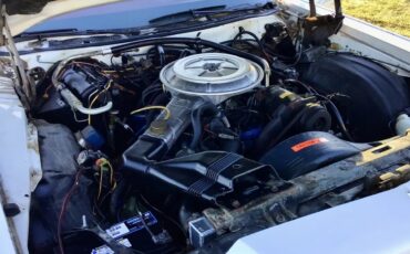 Mercury-Marquis-1977-White-Burgundy-13