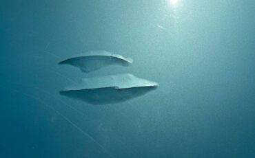 Mercury-cougar-1968-15