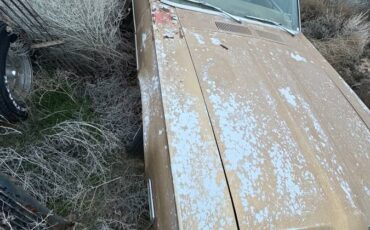 Mercury-cougar-1968-yellow-5