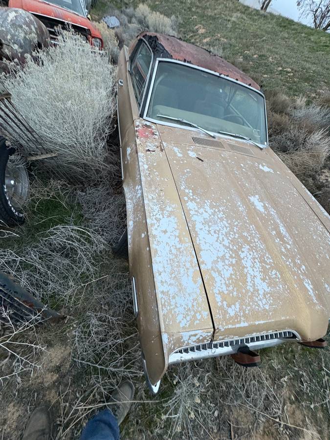 Mercury-cougar-1968-yellow-5