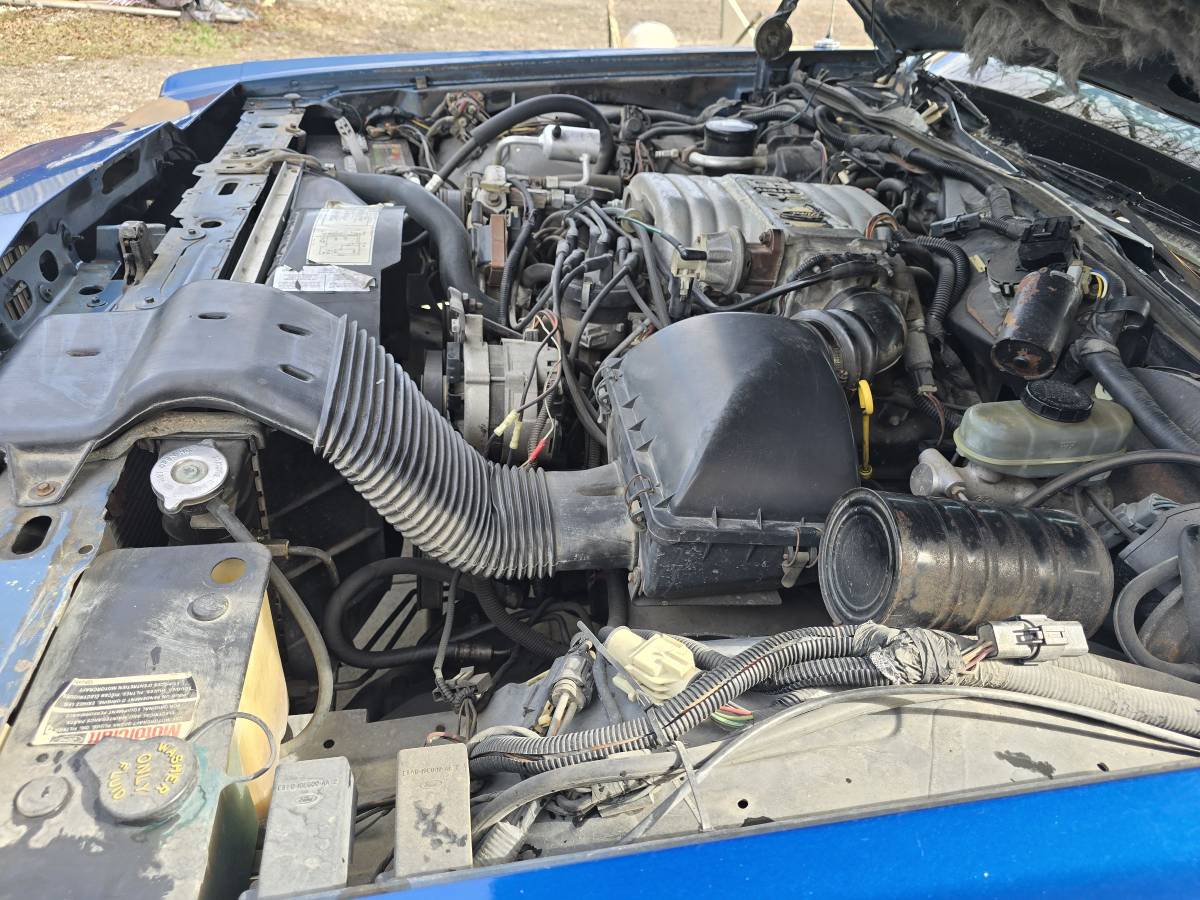 Mercury-grand-marquis-1988-blue-14