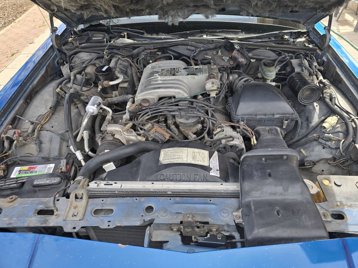 Mercury-grand-marquis-1988-blue-6