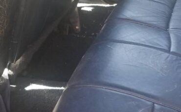 Mercury-grand-marquis-1992-blue-10