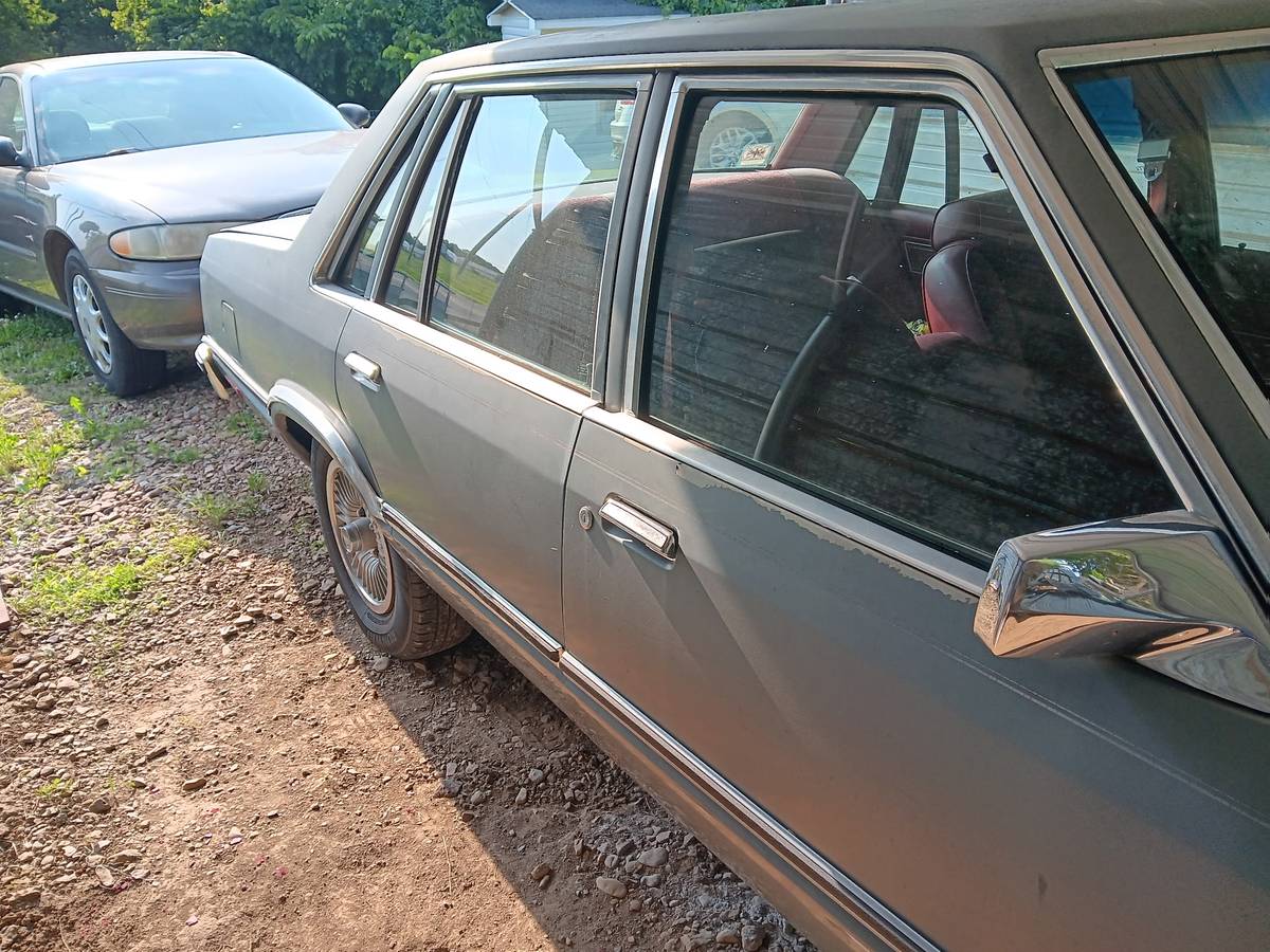 Mercury-zypher-1982-3