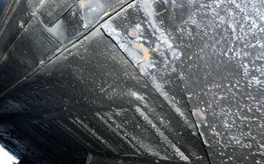 Mustang-mach-1-1970-green-21