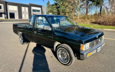 Nissan-hardbody-pickup-1994-4