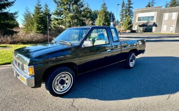 Nissan-hardbody-pickup-1994-5