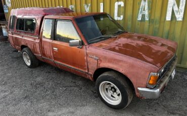 Nissan-hardbody-pickup-extended-cab-5-speed-1984-brown-19