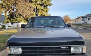 Nissan-pathfinder-xe-4x4-1987-grey-7