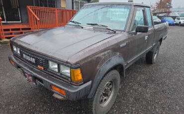 Nissan-pickup-1986-brown-6