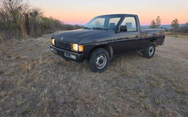 Nissan-truck-1995-grey-1