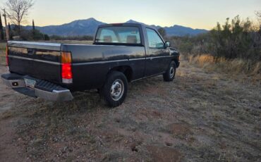 Nissan-truck-1995-grey-2