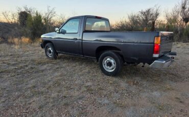 Nissan-truck-1995-grey-3