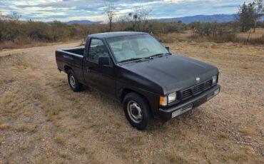 Nissan-truck-1995-grey