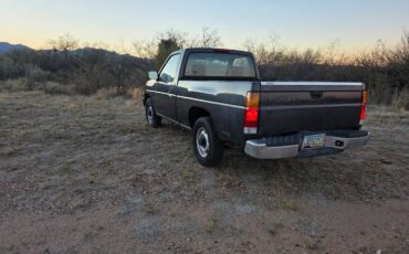 Nissan-truck-1995-grey-5