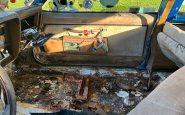 Oldmobile-royale-88-1979-blue-18