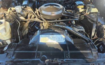 Olds-custom-cruiser-1989-white-19