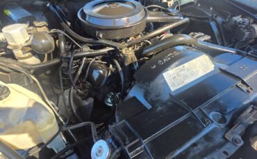 Olds-custom-cruiser-1989-white-20