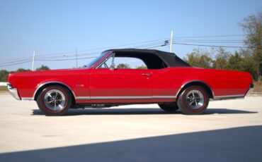 Oldsmobile-442-1967-Convertible-3