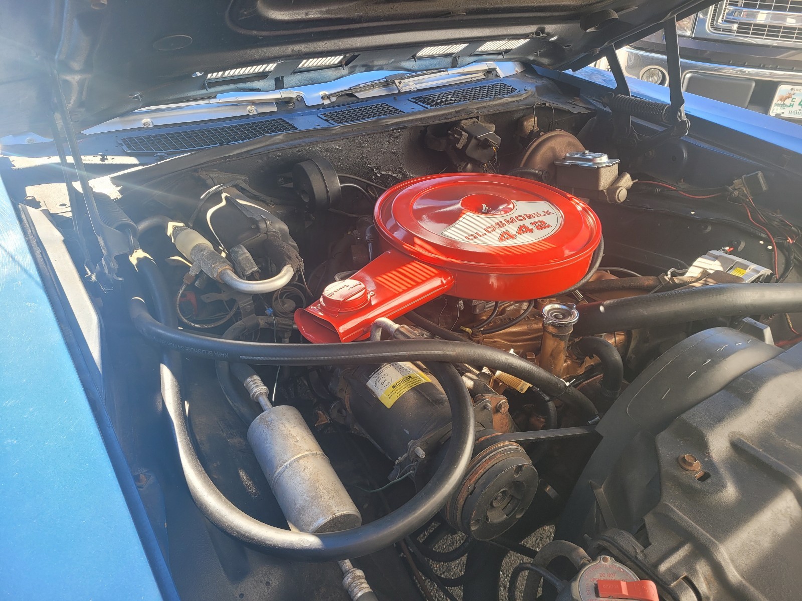 Oldsmobile-442-1969-37