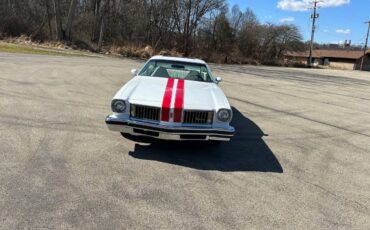 Oldsmobile-442-1975-white-10