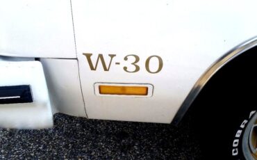 Oldsmobile-442-1979-Hurst-W30-13