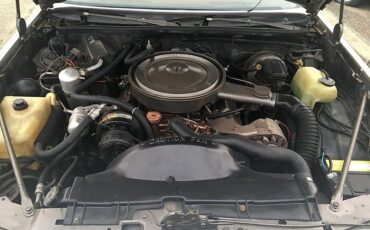 Oldsmobile-442-1979-Hurst-W30-15