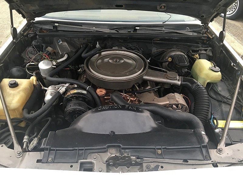 Oldsmobile-442-1979-Hurst-W30-15