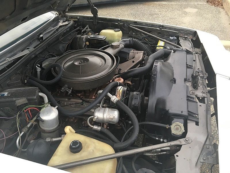 Oldsmobile-442-1979-Hurst-W30-18