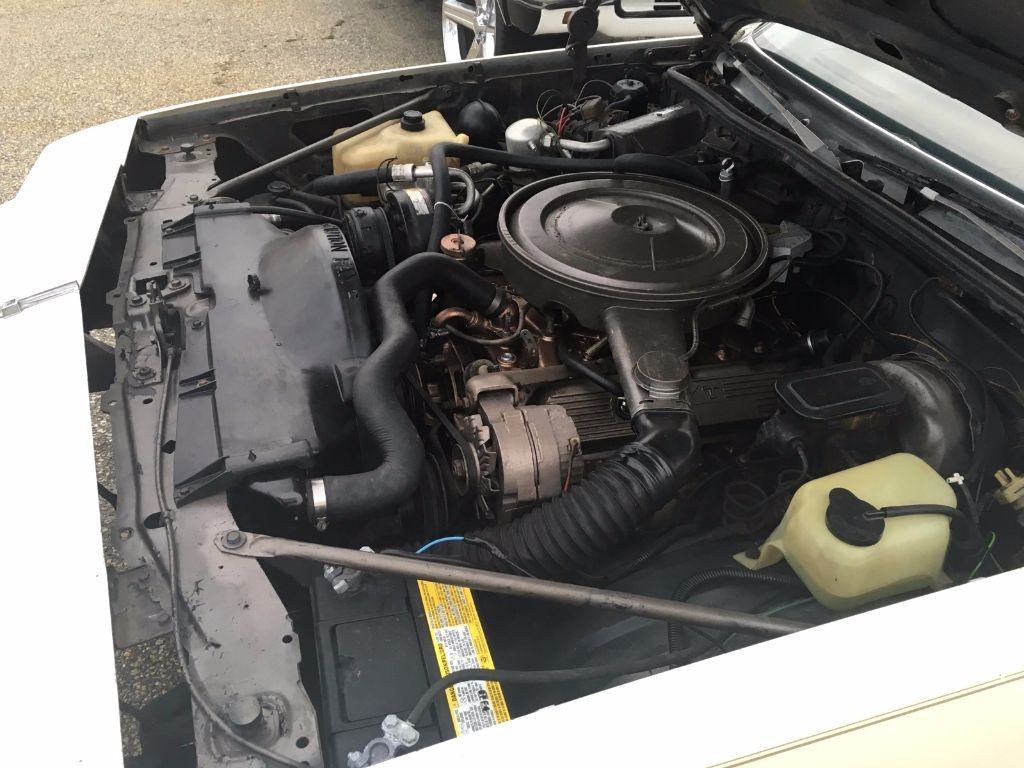 Oldsmobile-442-1979-Hurst-W30-20