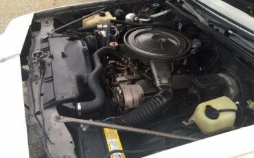 Oldsmobile-442-1979-Hurst-W30-20