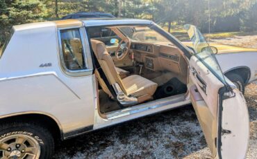 Oldsmobile-442-1980-1